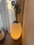 Koduu Synergy 65S speaker en wijnkoeler, Ophalen, Zo goed als nieuw