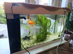 Juwel aquarium, Dieren en Toebehoren, Vissen | Aquaria en Toebehoren, Ophalen, Zo goed als nieuw, Leeg aquarium