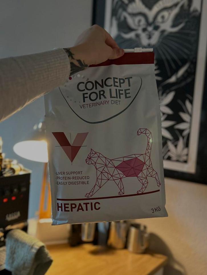 Kattenvoer Concept For Life Hepatic, Dieren en Toebehoren, Dierenvoeding, Kat, Ophalen