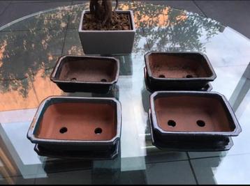 Nieuwe en oude bonsai bloempotten geglazuurd diverse beschikbaar voor biedingen