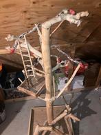 Java boom, Dieren en Toebehoren, Ophalen, Overige typen