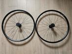 DT Swiss Performance LN Wielset, Fietsen en Brommers, Fietsonderdelen, DT Swiss, Racefiets, Nieuw, Ophalen