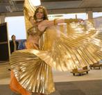 Isiswings gay pride GOUD ZILVER PANTERA vleugels show XL, Ophalen of Verzenden, Nieuw, Toneelattributen of Onderdelen