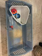 Konijnen en cavia hok, Minder dan 60 cm, Gebruikt, Ophalen of Verzenden, Hok