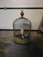 Mooie antieke vogelkooi, Dieren en Toebehoren, Vogels | Hokken en Kooien, Ophalen, Zo goed als nieuw, Metaal, Vogelkooi