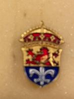 speldje Darmstadt, Verzamelen, Speldjes, Pins en Buttons, Ophalen of Verzenden, Gebruikt, Overige onderwerpen