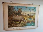 schoolplaten met dieren in hun omgeving, Antiek en Kunst, Ophalen