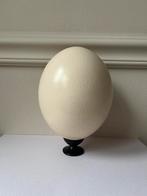 Mooi struisvogel ei, Ophalen of Verzenden, Zo goed als nieuw, Beeldje of Figuurtje