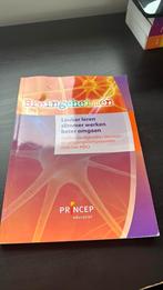 Breingeheimen Jitske Schulte - Werkboek, Ophalen of Verzenden, Nederlands, Overige niveaus, Jitske Schulte