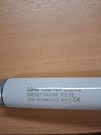 TL buis 38W - Nieuw in doos, 10 stuks, Overige typen, Nieuw, Bipin of Steekvoet, Modern