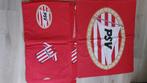 Dekbedovertrek PSV (voetbal), Ophalen, Gebruikt, Jongetje of Meisje, Dekbedovertrek