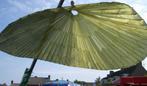 Te huur: parachute, Ophalen