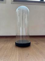 Stijlvolle Glazen stolp - perfect voor decoratie, Huis en Inrichting, Woonaccessoires | Stolpen, Ophalen, Gebruikt