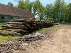 GEZOCHT Boomstammen rondhout voor haardhout, Stammen, Ophalen of Verzenden, 6 m³ of meer, Overige houtsoorten