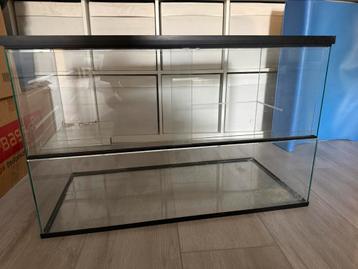 Mooi hanster terrarium 80x40 beschikbaar voor biedingen