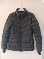 Zgan zwarte winterjas. Merk Cars Jeans. Maat 176, Ophalen of Verzenden, Zo goed als nieuw, Jongen, Jas