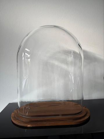 Stolp ovaal L helder glas bruin houten plateau beschikbaar voor biedingen