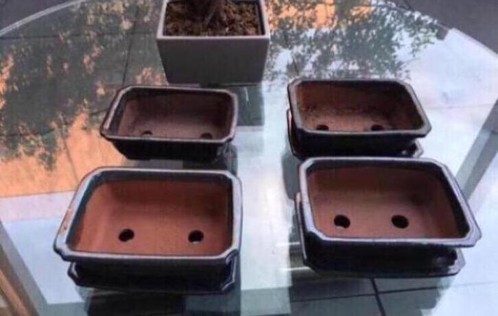 Geglazuurde terracotta bonsai potten diverse modellen, Tuin en Terras, Bloempotten, Nieuw, Terracotta, Binnen, Minder dan 40 cm