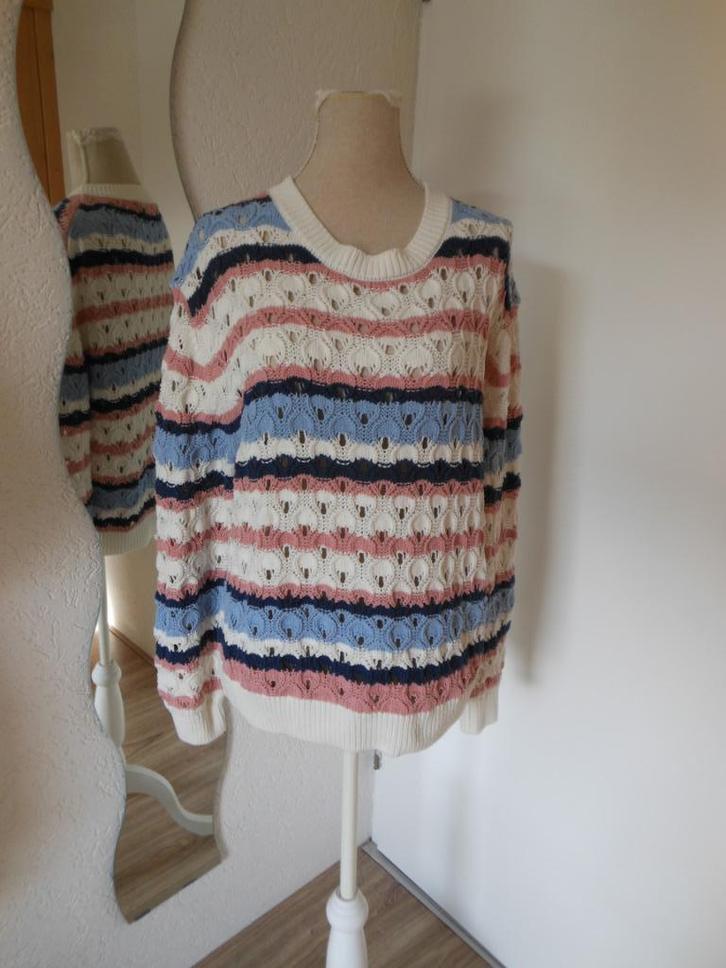 NIEUWE trui met katoen, Kleding | Dames, Truien en Vesten, Nieuw, Maat 46/48 (XL) of groter, Overige kleuren, Ophalen of Verzenden