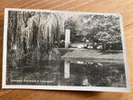1950 : Oude Ansichtkaart Schiedam : Emmabank in Julianapark, Ophalen of Verzenden, 1940 tot 1960, Gelopen, Zuid-Holland
