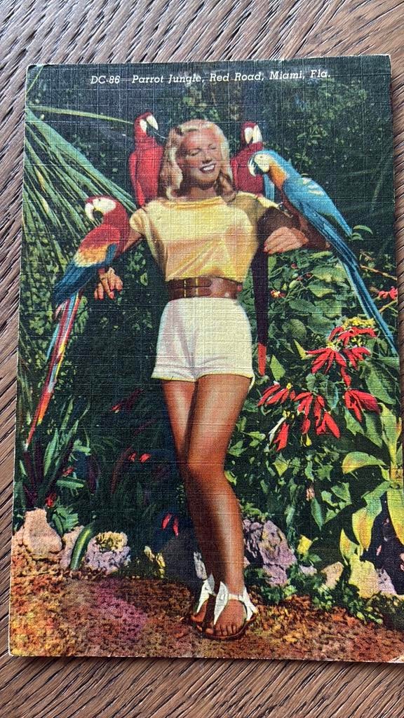 Vrouw (lange bruine benen) met 4 papegaaien, Ophalen of Verzenden, Voor 1920, Gelopen, Overige thema's