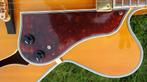 Jazzgitaar Samick Greg Bennett JZ-4/AN, Hollow body, Met versterker, Zo goed als nieuw, Ophalen