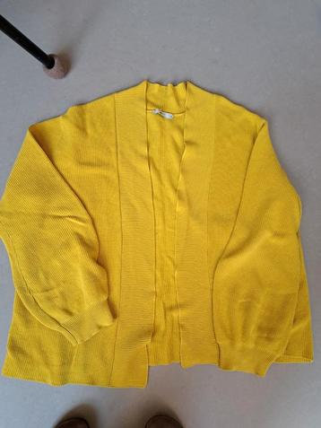 Sissyboy XL vest katoen beschikbaar voor biedingen