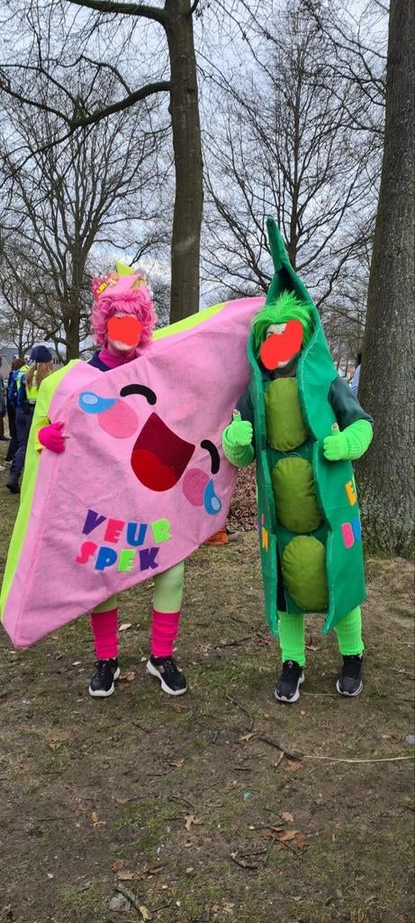 Carnavalskleding - Unieke kostuums, Maat 38/40 (M), Carnaval, Ophalen of Verzenden, Kleding