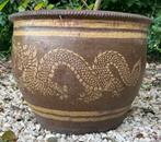Prachtige Mizubachi buiten pot, Ophalen, Gebruikt, 40 cm of meer, Rond