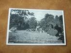 WOLVEGA  >  TUINGEZICHT, Verzamelen, Verzenden, 1940 tot 1960, Gelopen, Friesland