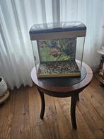 Superfish aquarium  zonder verlichting, Ophalen of Verzenden