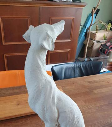 Zittende windhond beton look a like beschikbaar voor biedingen