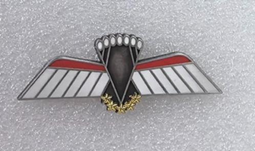 Miniatuur metalen parawing D HALO/HAHO (KCT/MARSOF) gala, Verzamelen, Militaria | Algemeen, Landmacht, Lintje, Medaille of Wings