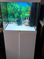 Aquarium jewel, Ophalen, Zo goed als nieuw, Leeg aquarium