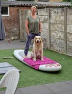 Sup, Watersport en Boten, Suppen, Ophalen, Zo goed als nieuw