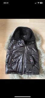 Leuke Prada bodywamer, Kleding | Dames, Bodywarmers, Ophalen, Zo goed als nieuw, Zwart