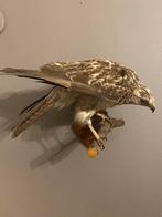 Opgezette buizerd - klaar voor duikvlucht, Verzamelen, Dierenverzamelingen, Ophalen of Verzenden, Gebruikt, Vogel, Opgezet dier
