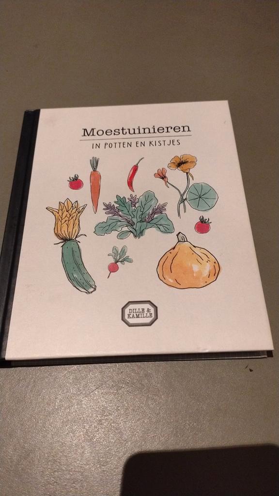 Moestuinieren in Potten en Kistjes - Dille & Kamille, Boeken, Wonen en Tuinieren, Zo goed als nieuw, Moestuin, Ophalen of Verzenden