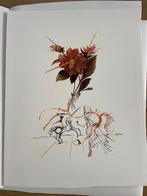 Salvador Dali - Gelimiteerde Editie 1979, Antiek en Kunst, Ophalen of Verzenden