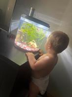Complete Aquarium met guppen, Dieren en Toebehoren, Ophalen of Verzenden, Zo goed als nieuw