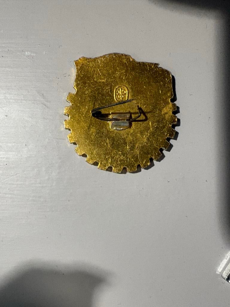 USSR Speldje - Sovjet Unie Pin, Ophalen of Verzenden, Gebruikt, Overige onderwerpen, Speldje of Pin