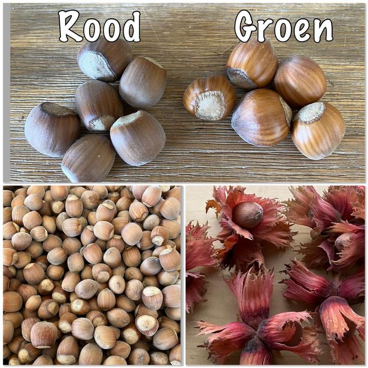 2kg Bio rode hazelnoten 2025, Diversen, Levensmiddelen, Ophalen