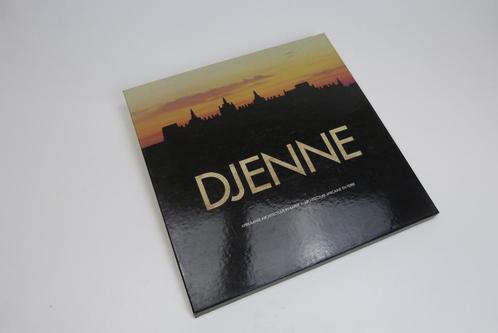 Djenne afrikaanse architectuur in aarde, Boeken, Kunst en Cultuur | Beeldend, Gelezen, Overige onderwerpen, Ophalen of Verzenden