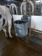 Waterbak met vlotter, Dieren en Toebehoren, Ophalen, Gebruikt