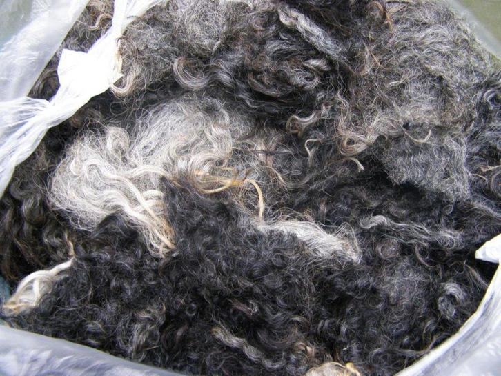 witecru beige schapenwol spinnewiel spinnenwiel spinnen vilt, Hobby en Vrije tijd, Spinnewielen en Spinnen, Nieuw, Spinwol, Ophalen of Verzenden