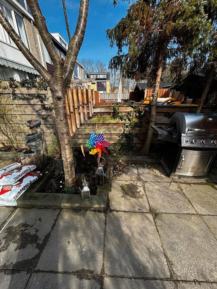 Gratis donkergrijze tegels (60x60) en randen - zelf uithalen, Tuin en Terras, Tuinbeelden, Gebruikt, Overige typen, Beton, Ophalen