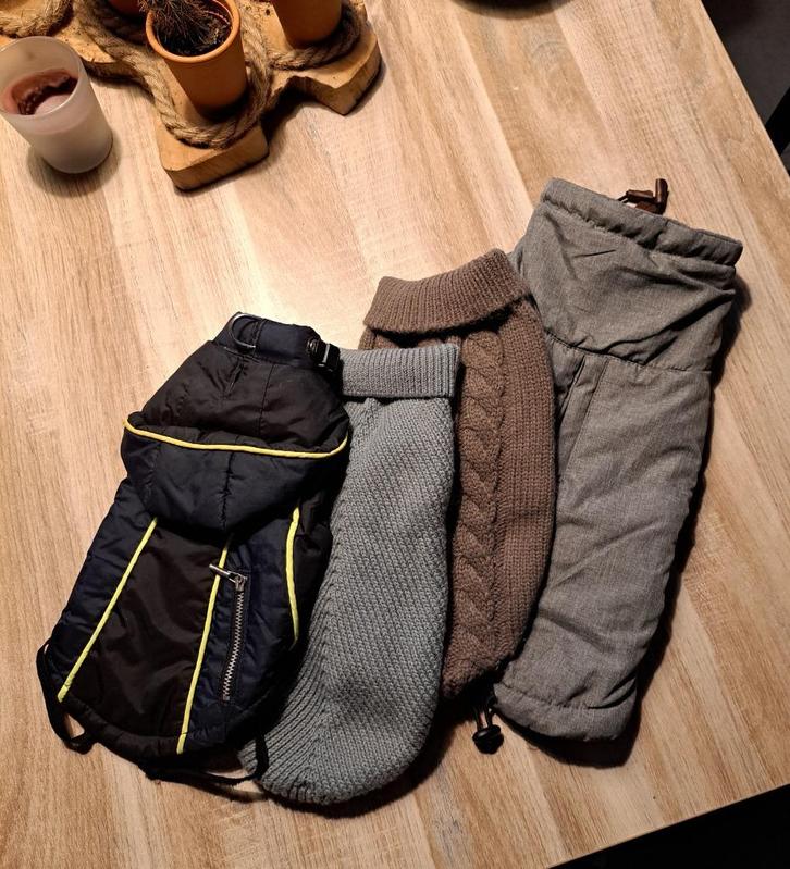Honden jasjes & truitjes, Dieren en Toebehoren, Hondenkleding, Hondenjas, Ophalen