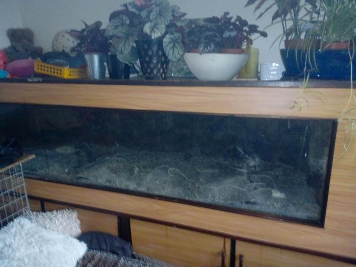 aquarium, Dieren en Toebehoren, Vissen | Aquaria en Toebehoren, Gebruikt, Leeg aquarium, Ophalen of Verzenden