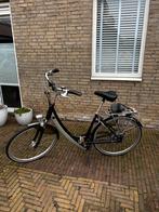 Batavus Padova easy royal - Damesfiets met Lage Instap, Ophalen, Batavus, 50 tot 53 cm, Gebruikt