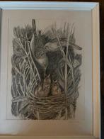 Mooie potlood tekening van g koster ., Ophalen of Verzenden